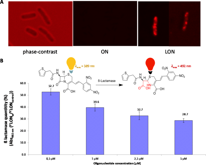 Lipid Oligonucleotides As A New Strategy For Tackling The Antibiotic Resistance Scientific Reports