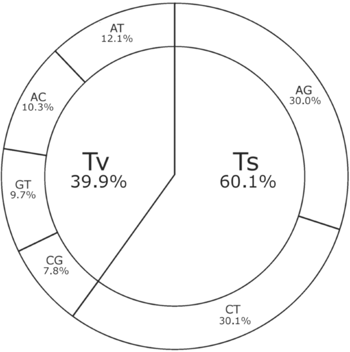 Genome Wide Snp Identification In Prunus Rootstocks Germplasm Collections Using Genotyping By Sequencing Phylogenetic Analysis Distribution Of Snps And Prediction Of Their Effect On Gene Function Scientific Reports