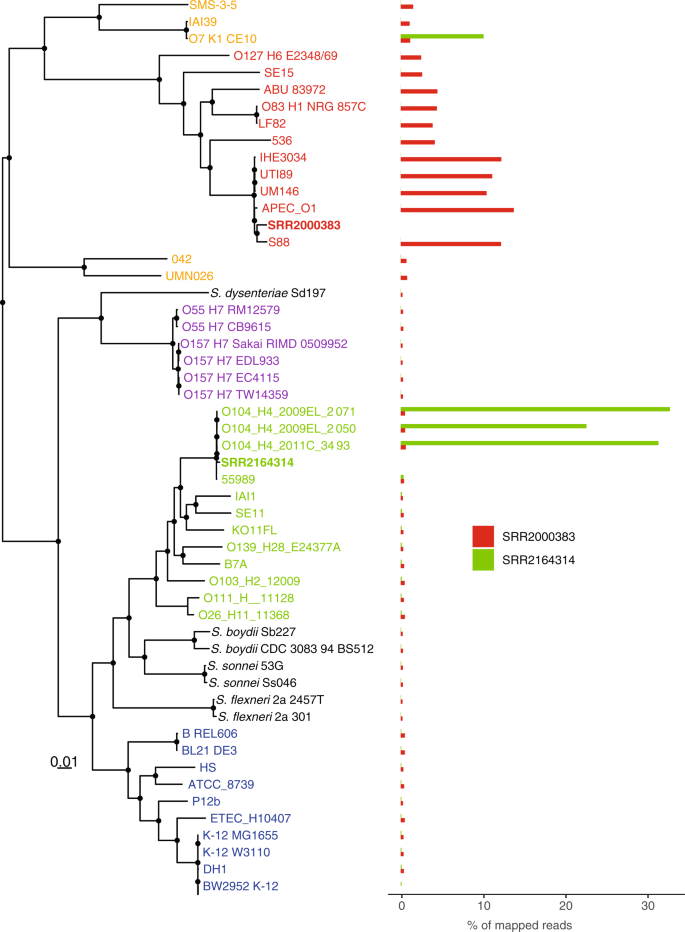 Inter- and intraspecies comparison of phylogenetic fingerprints