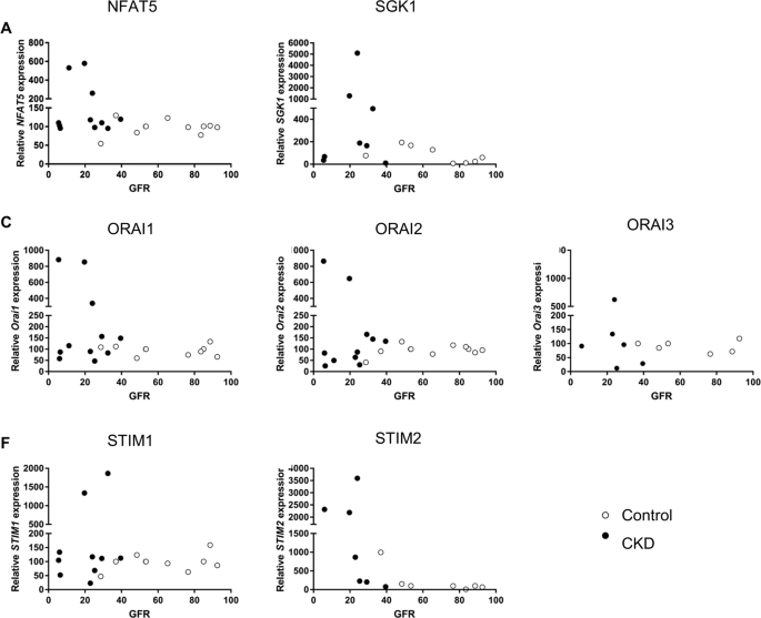 Beta Glycerophosphate Induced Orai1 Expression And Store Operated Ca 2 Entry In Megakaryocytes Scientific Reports Beta Glycerophosphate Induced Orai1 Expression And Store Operated Ca 2 Entry In Megakaryocytes Scientific Reports