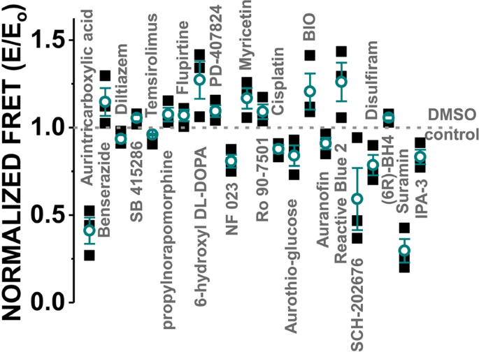 Ryr1 Targeted Drug Discovery Pipeline Integrating Fret Based High Throughput Screening And Human Myofiber Dynamic Ca 2 Assays Scientific Reports