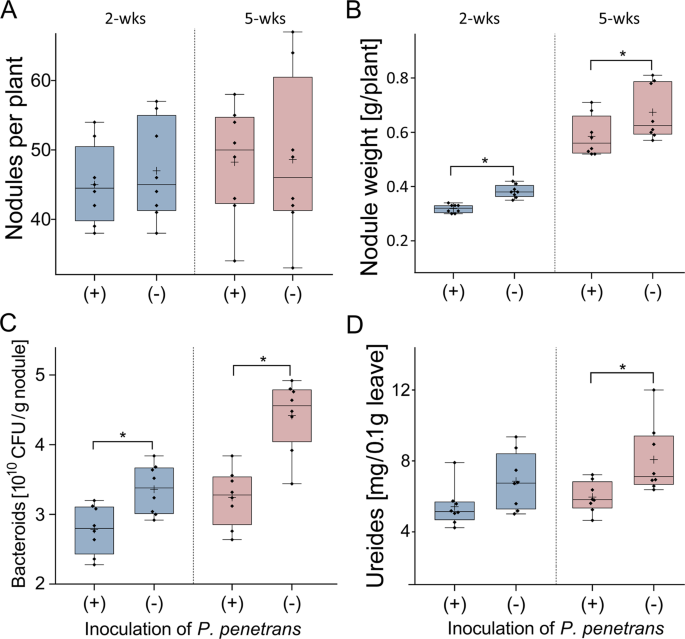 Symbiosis Of Soybean With Nitrogen Fixing Bacteria Affected By Root Lesion Nematodes In A Density Dependent Manner Scientific Reports