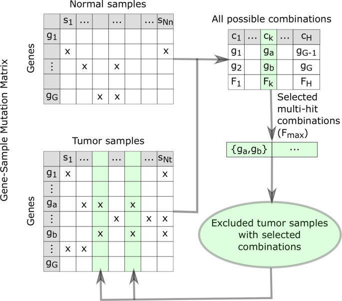 Identifying Multi Hit Carcinogenic Gene Combinations Scaling Up A Weighted Set Cover Algorithm Using Compressed Binary Matrix Representation On A Gpu Scientific Reports