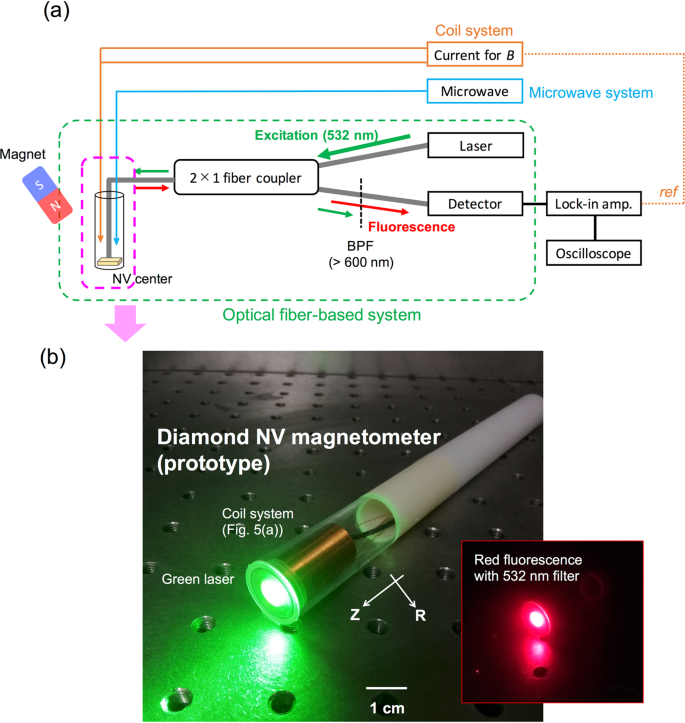 Magnetometer with nitrogen-vacancy center in a bulk diamond for detecting magnetic nanoparticles in biomedical applications
