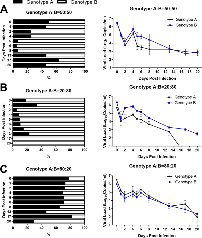 Experiments Investigating the Competitive Growth Advantage of Two Different  Genotypes of Human Metapneumovirus: Implications for the Alternation of  Genotype Prevalence | Scientific Reports