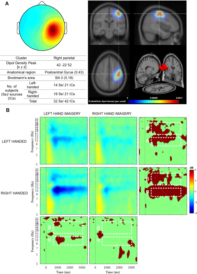 Fig. 1.  Long-Term Consequences of Switching Handedness: A