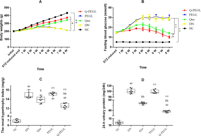 Quercetin Liposomes Ameliorate Streptozotocin Induced Diabetic Nephropathy In Diabetic Rats Scientific Reports