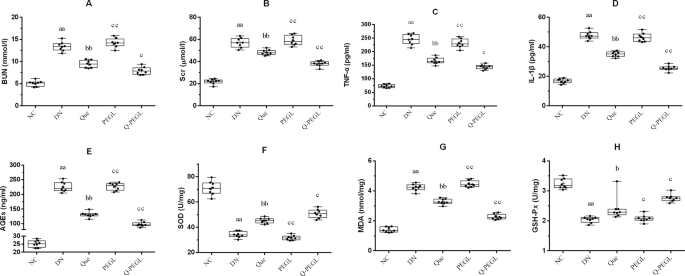 Quercetin Liposomes Ameliorate Streptozotocin Induced Diabetic Nephropathy In Diabetic Rats Scientific Reports