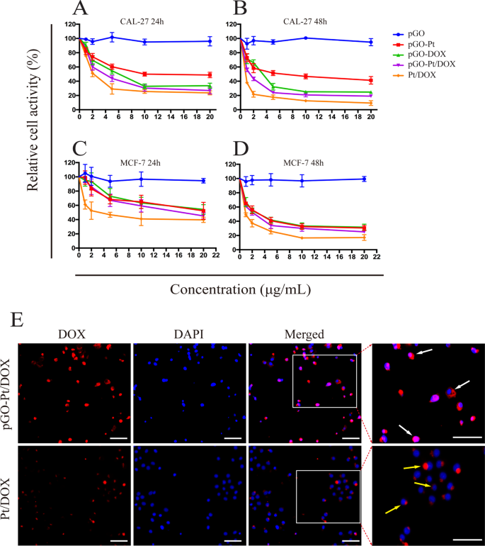 Pegylated Nano Graphene Oxide As A Nanocarrier For Delivering Mixed Anticancer Drugs To Improve Anticancer Activity Scientific Reports