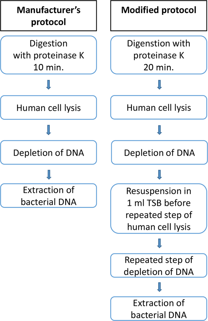 dna extraction of microbial dna