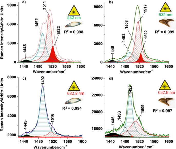 Color Specific Porosity In Double Pigmented Natural 3d Nanoarchitectures Of Blue Crab Shell Scientific Reports