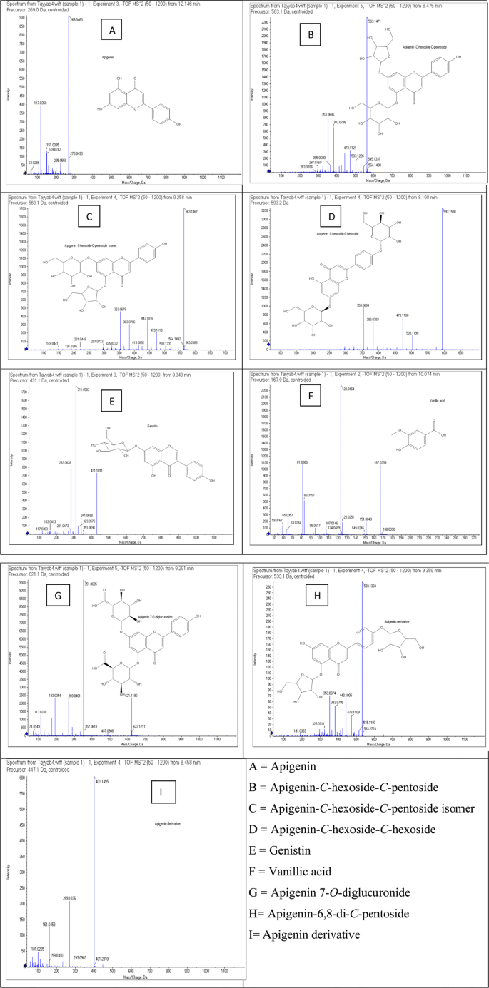 Uhplc Qtof Ms Ms Based Phytochemical Characterization And Anti Hyperglycemic Prospective Of Hydro Ethanolic Leaf Extract Of Butea Monosperma Scientific Reports