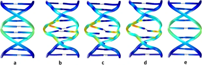 https://media.springernature.com/lw685/springer-static/image/art%3A10.1038%2Fs41598-020-60105-3/MediaObjects/41598_2020_60105_Fig4_HTML.png?as=webp