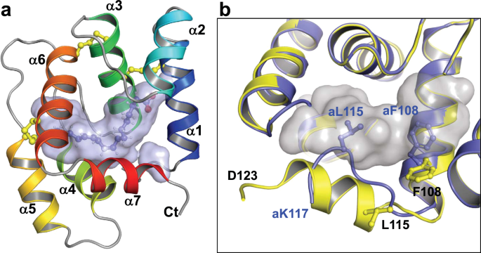 Aedes Aegypti Odorant Binding Protein 22 Selectively Binds Fatty Acids Through A Conformational Change In Its C Terminal Tail Scientific Reports