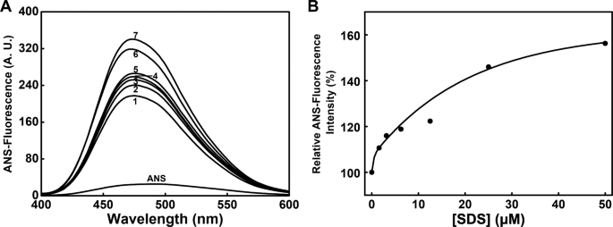 Effects Of Sds On The Activity And Conformation Of Protein Tyrosine Phosphatase From Thermus Thermophilus Hb27 Scientific Reports Effects Of Sds On The Activity And Conformation Of Protein Tyrosine Phosphatase From Thermus Thermophilus Hb27 Scientific Reports