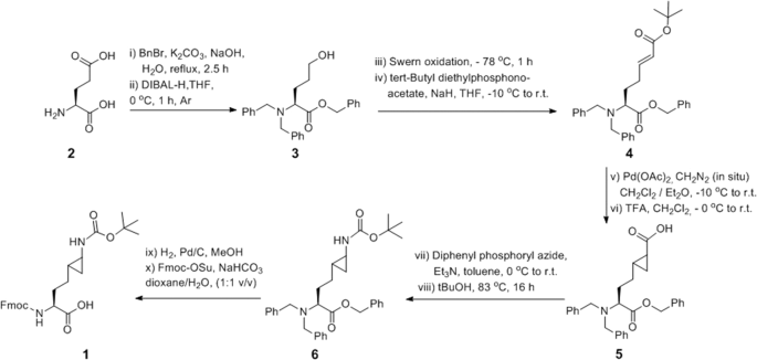 Examining Sterically Demanding Lysine Analogs For Histone Lysine Methyltransferase Catalysis Scientific Reports Examining Sterically Demanding Lysine Analogs For Histone Lysine Methyltransferase Catalysis Scientific Reports