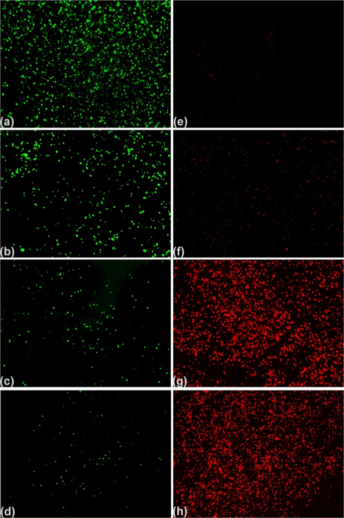 Surface Dielectric Barrier Discharge Plasma A Suitable Measure Against Fungal Plant Pathogens Scientific Reports