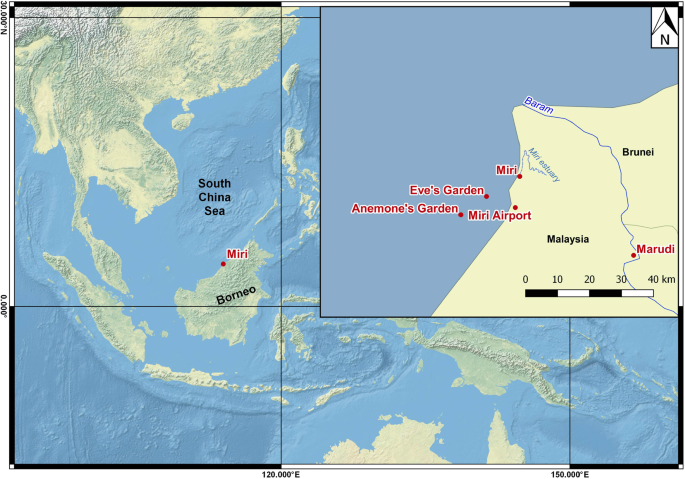 Corals Reveal Enso Driven Synchrony Of Climate Impacts On Both