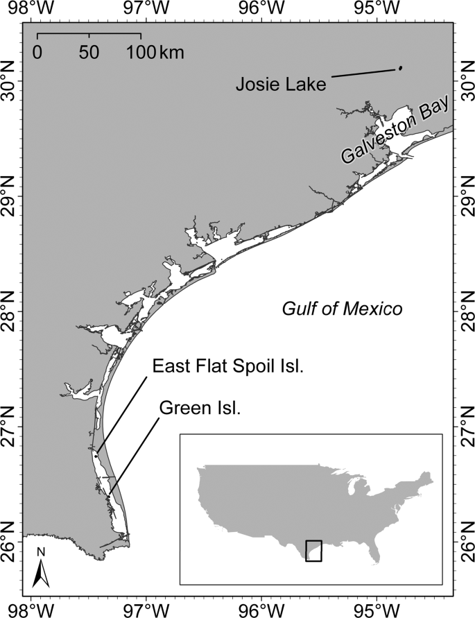 figure1