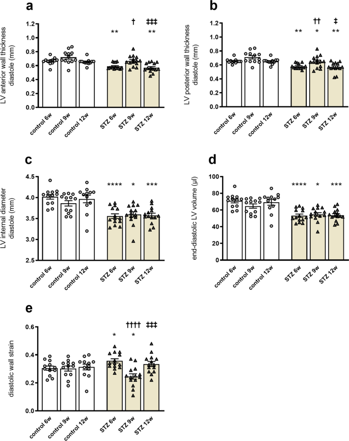Speckle Tracking Echocardiography Combined With Imaging Mass Spectrometry Assesses Region Dependent Alterations Scientific Reports