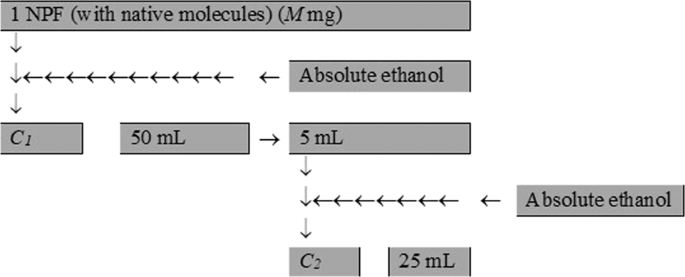 christian chicago dating