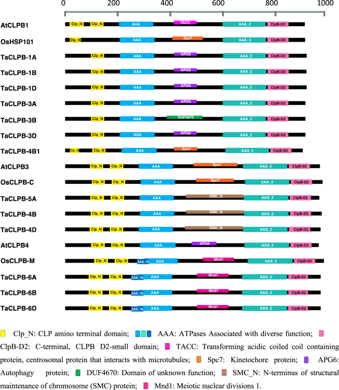 Genome Wide Analysis Of The Hsp101 Clpb Gene Family For Heat Tolerance In Hexaploid Wheat Scientific Reports
