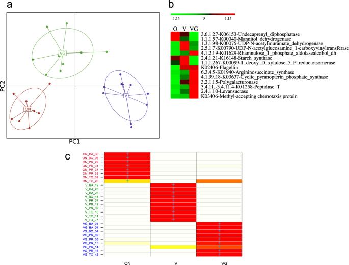 Diet Influences The Functions Of The Human Intestinal Microbiome Scientific Reports