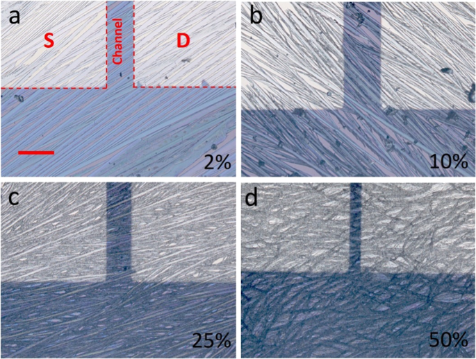 Controlling morphology and microstructure of conjugated polymers