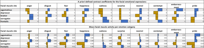 Perception of Discrete Emotions in Others: Evidence for Distinct Facial  Mimicry Patterns | Scientific Reports
