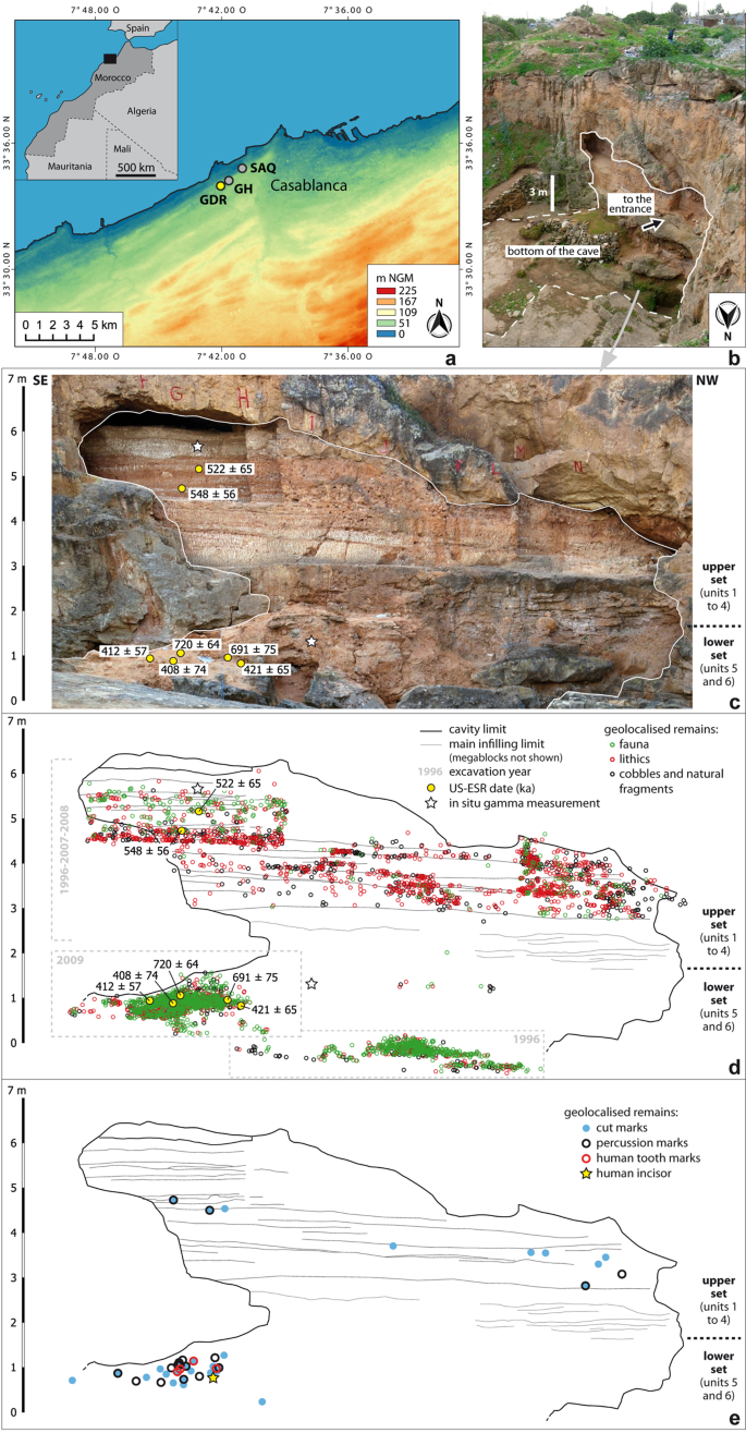 Earliest African evidence of carcass processing and consumption in cave at  700 ka, Casablanca, Morocco | Scientific Reports