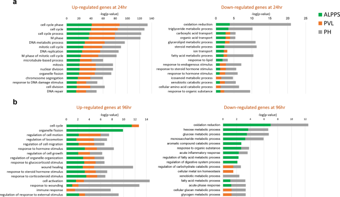 Rna Seq Transcriptome Profiling In Three Liver Regeneration Models In Rats Comparative Analysis Of Partial Hepatectomy Allps And Pvl Scientific Reports