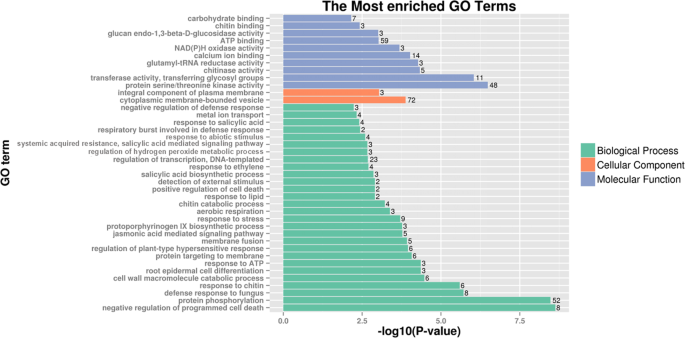 Genome Wide Impacts Of Alien Chromatin Introgression On Wheat Gene Transcriptions Scientific Reports