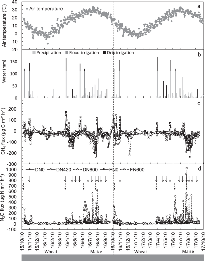 Mitigation Of Greenhouse Gas Emissions Through Optimized Irrigation And Nitrogen Fertilization In Intensively Managed Wheat Maize Production Scientific Reports Mitigation Of Greenhouse Gas Emissions Through Optimized Irrigation And Nitrogen Fertilization In Intensively Managed Wheat Maize Production Scientific Reports