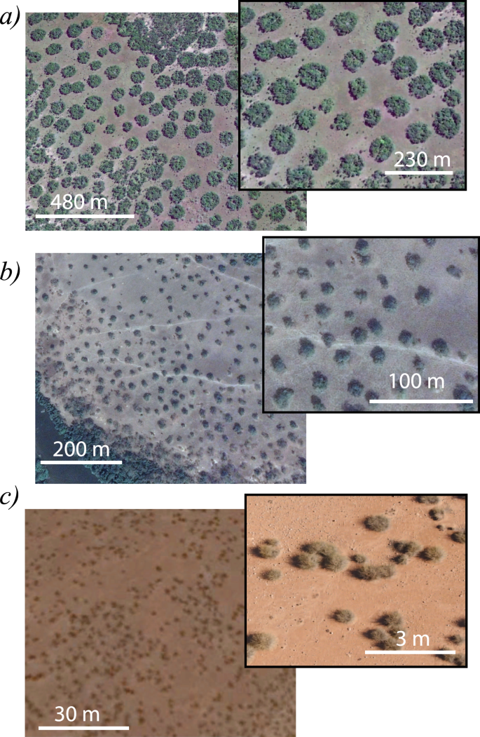 figure1