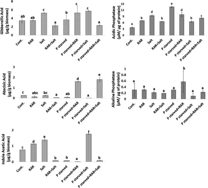 Prescience Of Endogenous Regulation In Arabidopsis Thaliana By Pseudomonas Putida Mtcc 5279 Under Phosphate Starved Salinity Stress Condition Scientific Reports