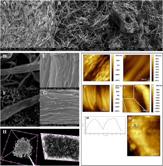 Synthesis Of Conductive Carbon Aerogels Decorated With B Tricalcium Phosphate Nanocrystallites Scientific Reports