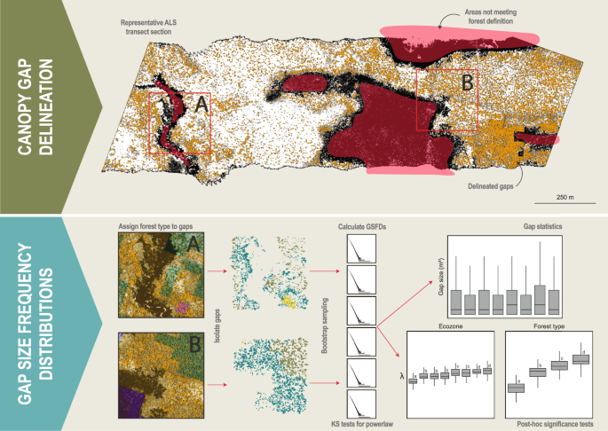 Uncovering Spatial And Ecological Variability In Gap Size Frequency Distributions In The Canadian Boreal Forest Scientific Reports