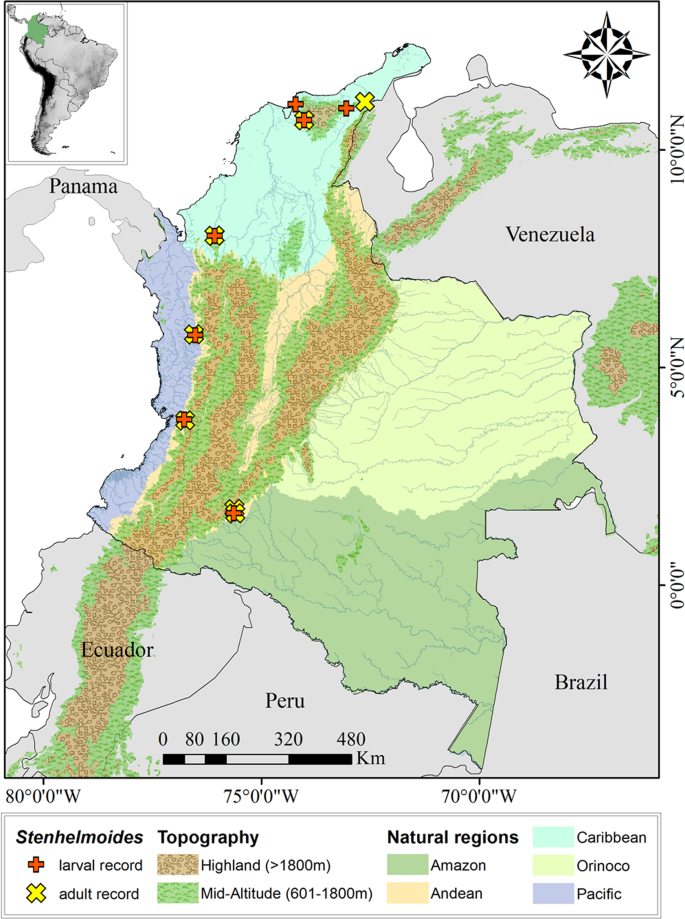 figure6