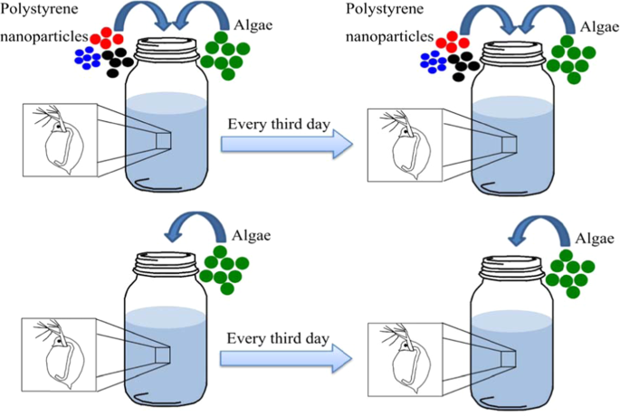 figure1