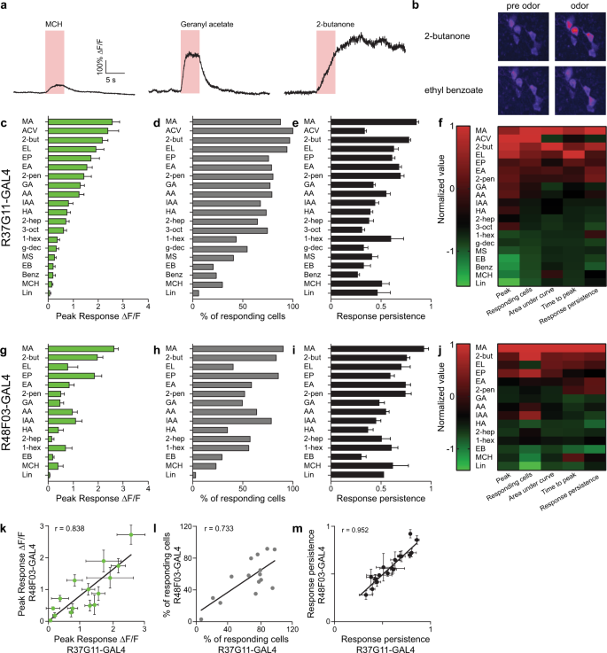 Neural plugins Neural plugins