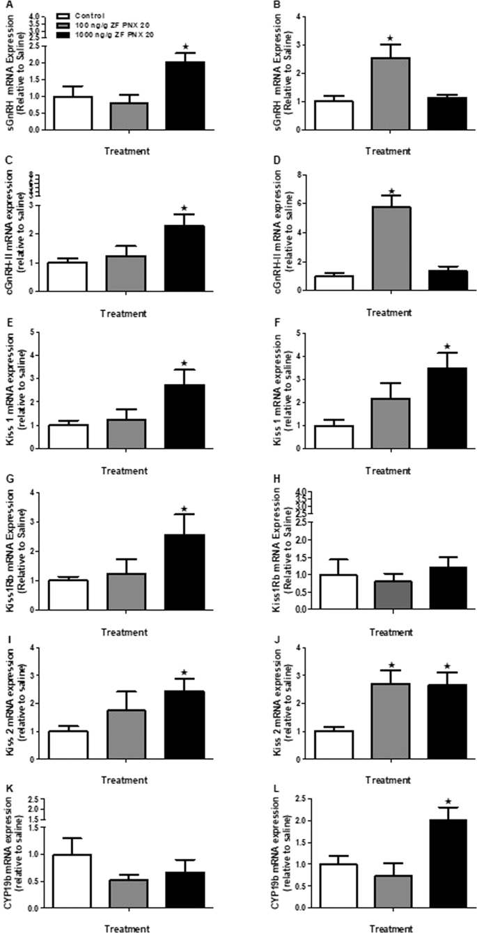 Phoenixin Stimulates Mrnas Encoding Hypothalamo Pituitary Gonadal Hormones Is Pro Vitellogenic And Promotes Oocyte Maturation In Zebrafish Scientific Reports