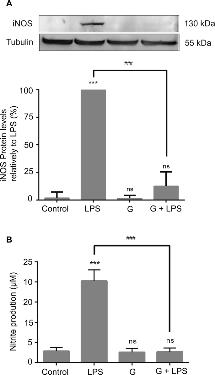 Kezelés kálium permanganáttal férgekkel, Giardia low white blood cell count