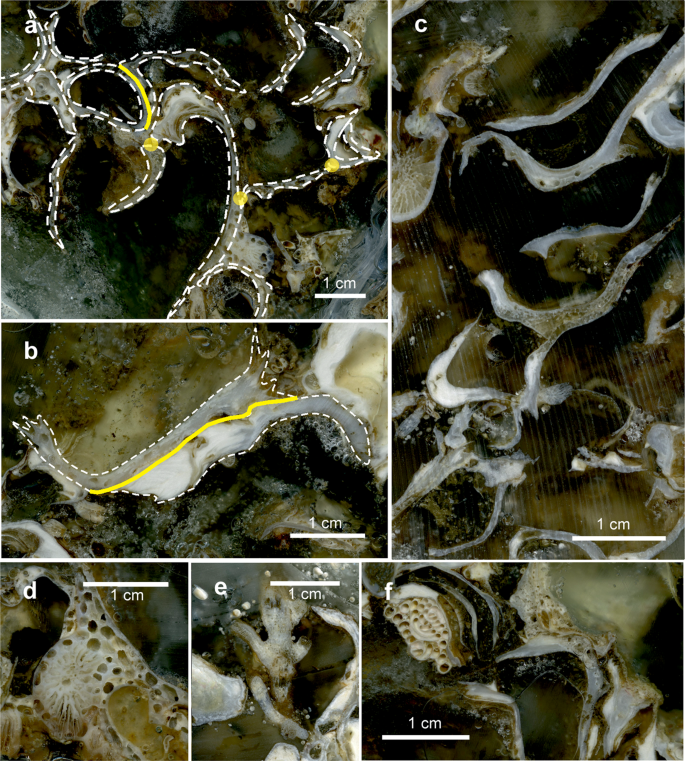 figure7