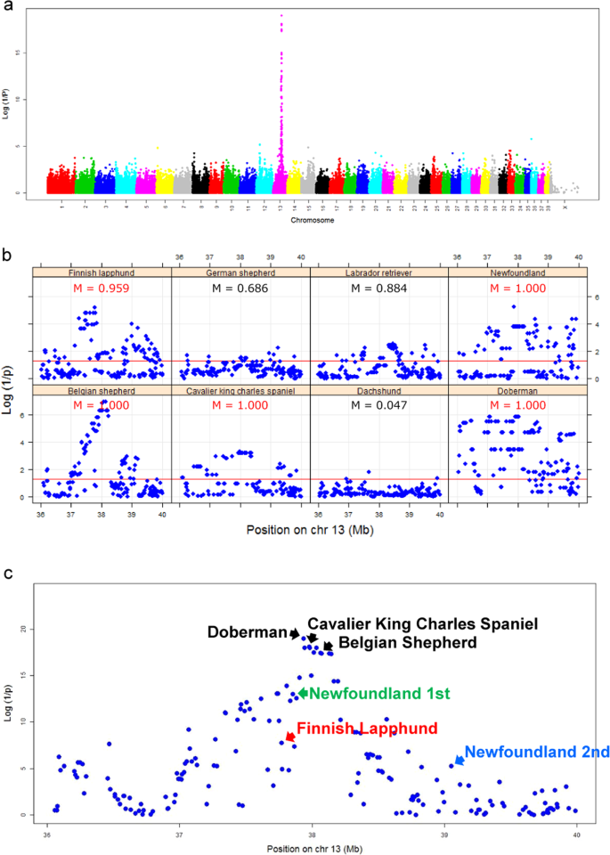 Genome Wide Association Study Of 40 Clinical Measurements In Eight Dog Breeds Scientific Reports