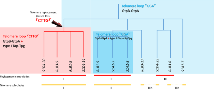 figure1
