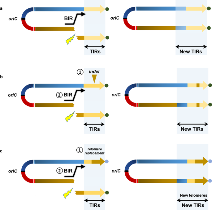 figure3