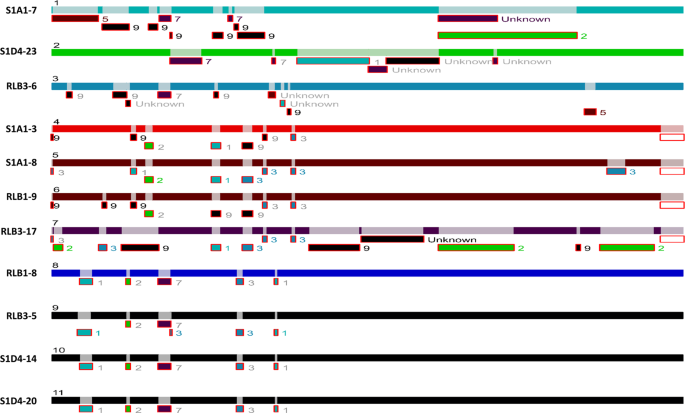 figure4