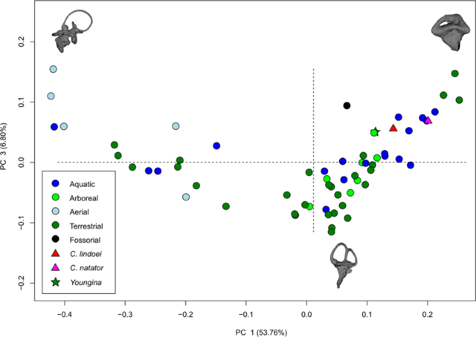 figure11