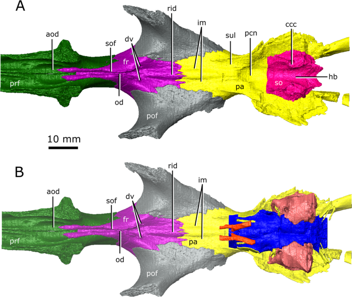 figure4