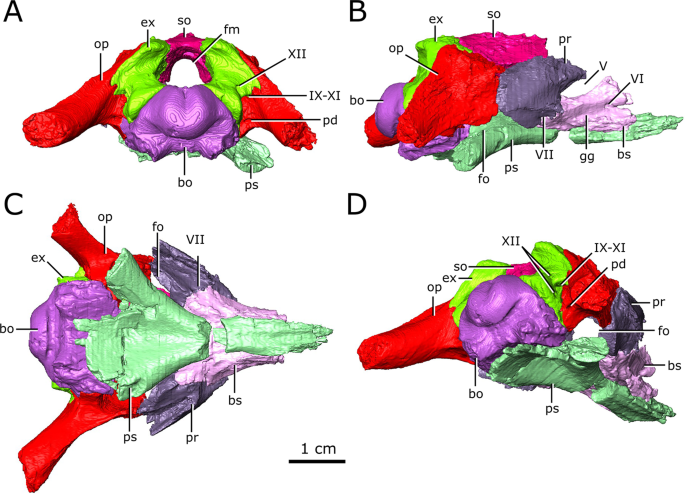 figure6